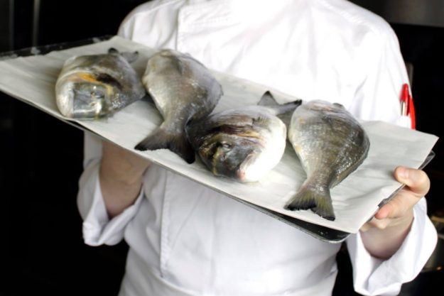 Fisch-Kochkurs Wien – Julian Kutos mit Dorade