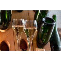 Champagner-Tasting in Wien – Champagner