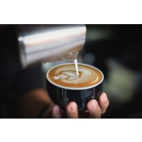 Kaffeehaus-Tour Wien