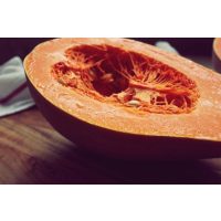 Kochkurs Wien – Kürbis richtig schneiden