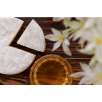 Sake-Tasting Wien – Sake und Camembert