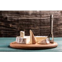 Sake-Tasting Wien – Sake und Käse