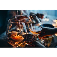 Weinseminar Wien – mit Naturweinen anstoßen