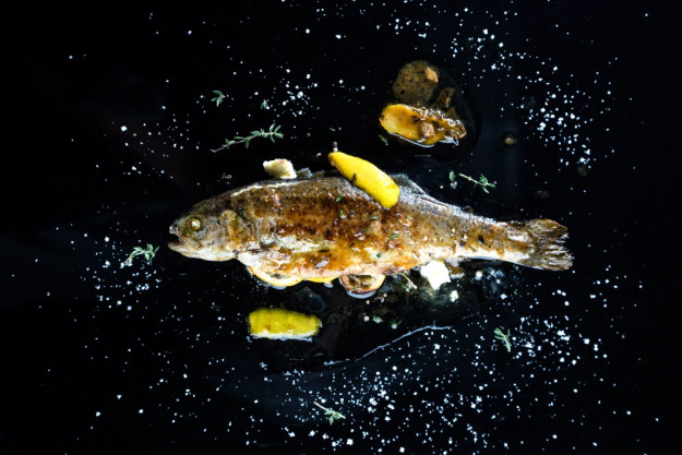 Fisch-Kochkurs Wien – Lachs mit Dillsoße