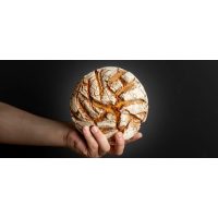 Online Backkurs – Julian Kutos mit Brot