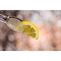 Gin-Tasting Innsbruck – nicht komplett ohne Zitrone