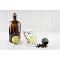 Gin-Tasting Salzburg – Gin Tonic 