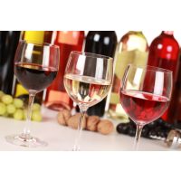 Kochkurs Wien – Rotwein, Weißwein, Rosé