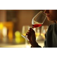 Weinseminar Wien – Frau trinkt Rotwein