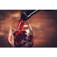 Weinseminar Wien – Merlot einschenken