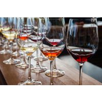Weinseminar Wien – Wein-Degustation
