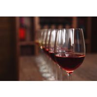 Weinseminar Wein – Weinprobe