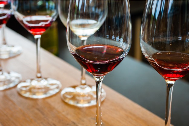 Weinseminar Wein – Wein-Degustation