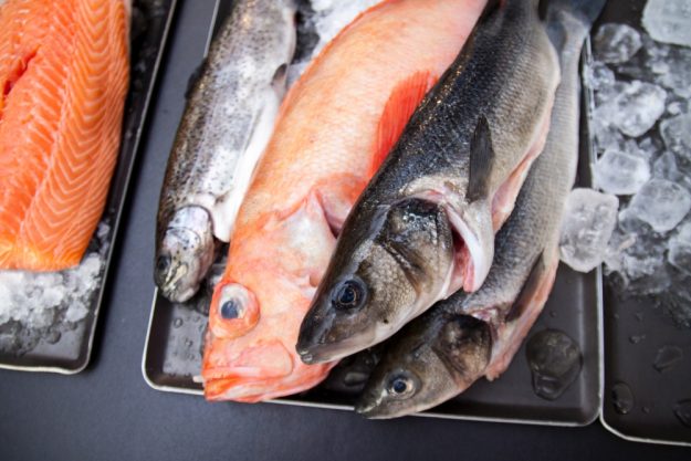 Fisch-Kochkurs Wien – roher Fisch