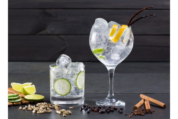 Gin-Tasting Wien – Gin auf Eis