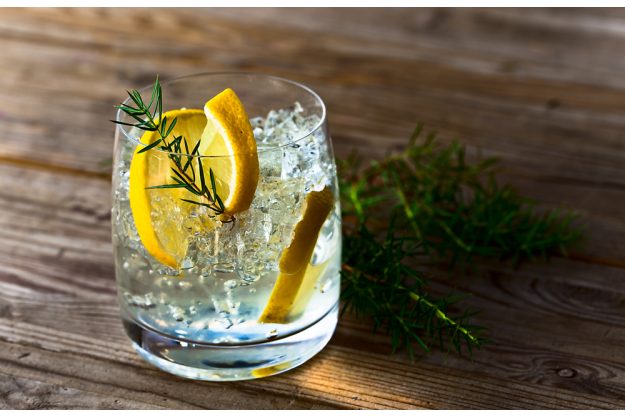Gin-Tasting Wien – Gin und Zitrone