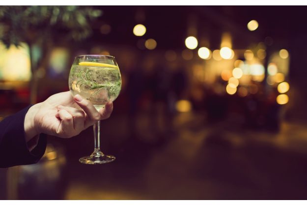 Gin-Tasting Wien – Fertiger Gin Tonic