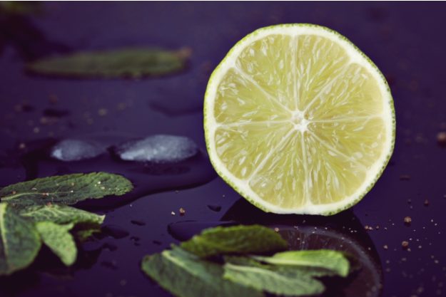 Gin-Tasting Wien – Geschnittene Limette