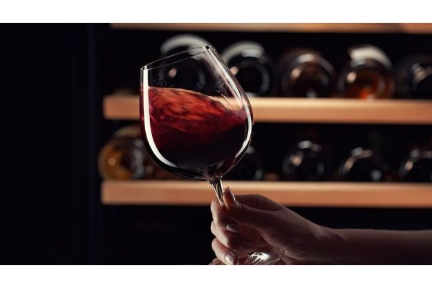 Portwein-Seminar Salzburg – Wein im Glas schwenken