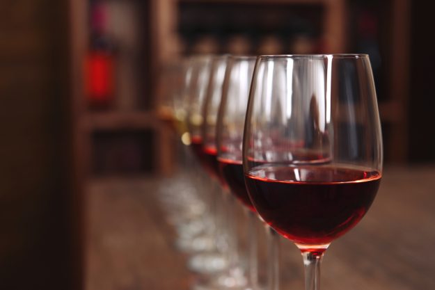 Weinseminar Wein – Weinprobe