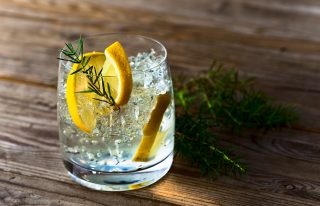 Gin-Tasting Wien Österreichischer Gin