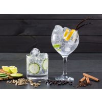 Gin-Tasting Wien – Gin auf Eis