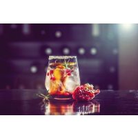 Gin-Tasting Wien – Gin mit Granatapfel