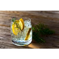 Gin-Tasting Wien – Gin und Zitrone