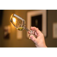 Gin-Tasting Wien – Gin schwenken