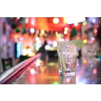 Gin-Tasting Wien – Ginbar