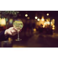 Gin-Tasting Wien – Fertiger Gin Tonic