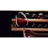 Portwein-Seminar Salzburg – Wein im Glas schwenken