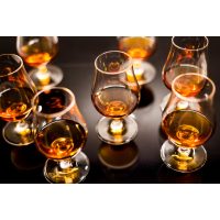 Rum-Tasting Wien – Rumprobe